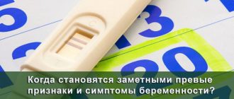 Когда заметны первые признаки беременности