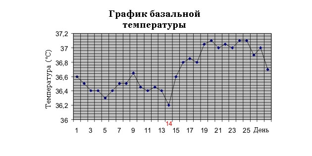 Базальная температура Базальная температура