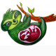 Green Sloth (instagram _green_sloth)
