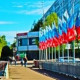 Солнышко