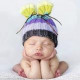 Darina