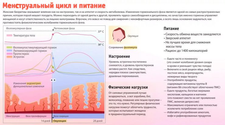 Как ускорить отторжение эндометрия при месячных