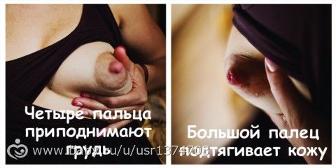 МАСТЕР-КЛАСС: Прикладывание ребенка к груди сидя