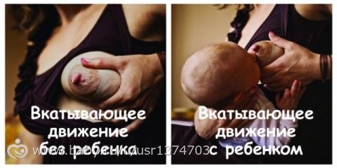 МАСТЕР-КЛАСС: Прикладывание ребенка к груди сидя