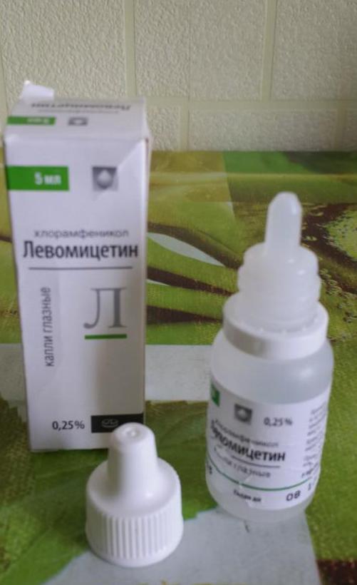 капли левомицетин