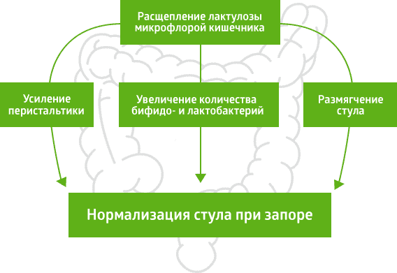 О препарате Дюфалак
