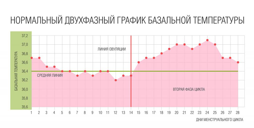 график бт