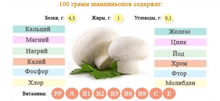 Состав шампиньонов Состав шампиньонов