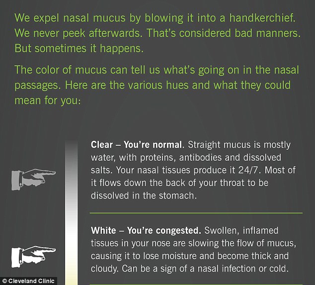 As mucus is mostly water, proteins, antibodies and dissolved proteins, it should be clear. White mucus means a person is congested as inflamed tissues in the nose are slowing the flow of snot, causing it to lose moisture