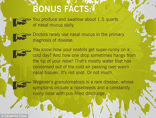 A person produces and swallows around 1.7 litres (1.5 quarts) of nasal mucus a day - enough to fill a kettle