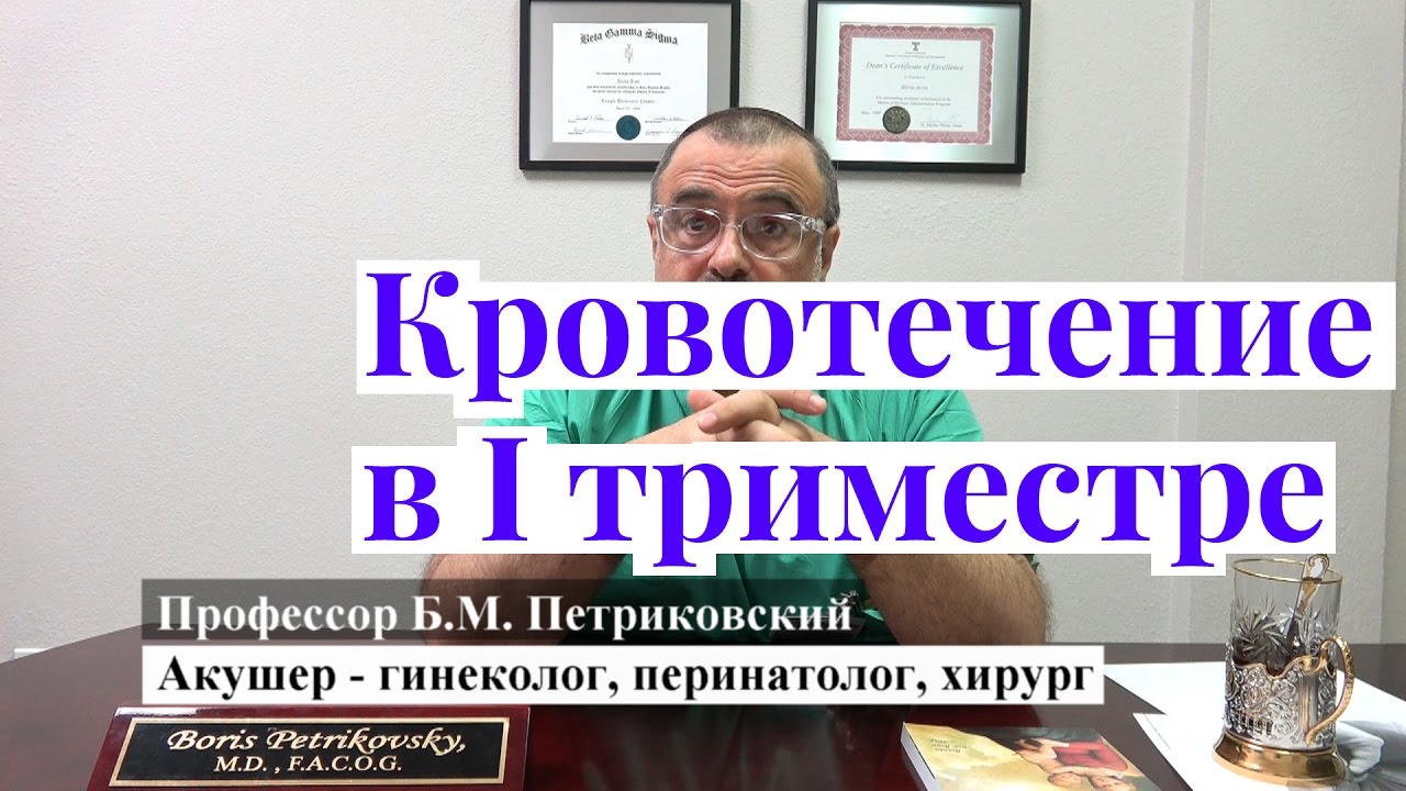 Кровотечение на ранних сроках беременности - интервью с профессором Петриковским о родах в США Кровотечение на ранних сроках беременности - интервью с профессором Петриковским о родах в США