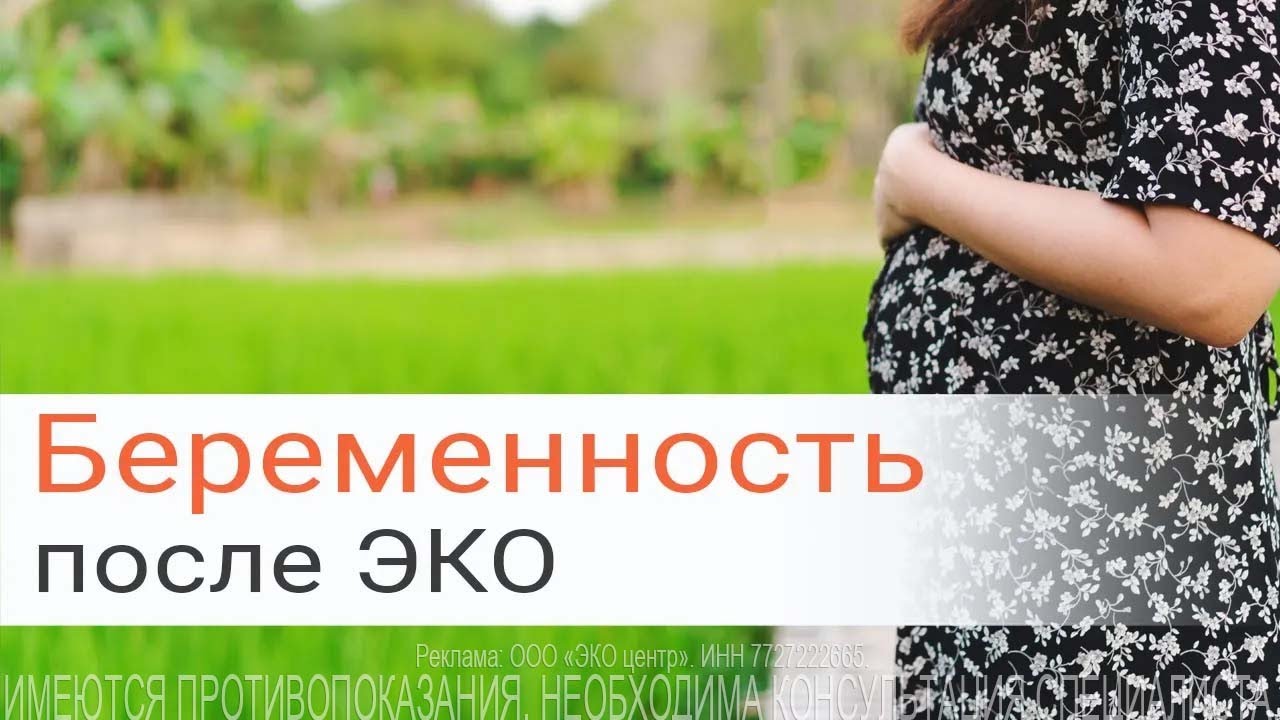 Фото: Калькулятор ХГЧ ЭКО