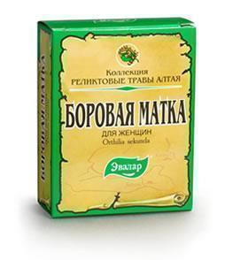 Фото: Боровая матка