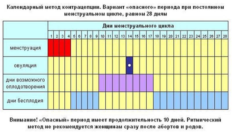 календарь менструального цикла календарный метод контрацепции
