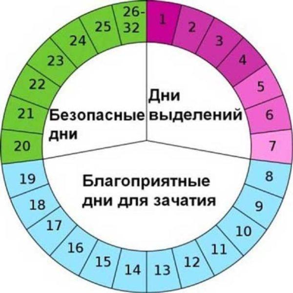 дни менструального цикла менструальный цикл