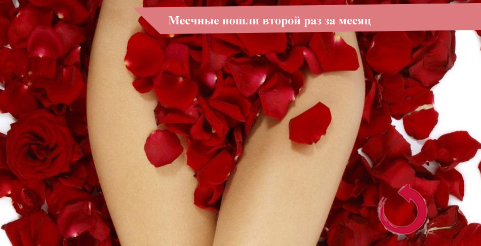 Месячные второй раза за месяц