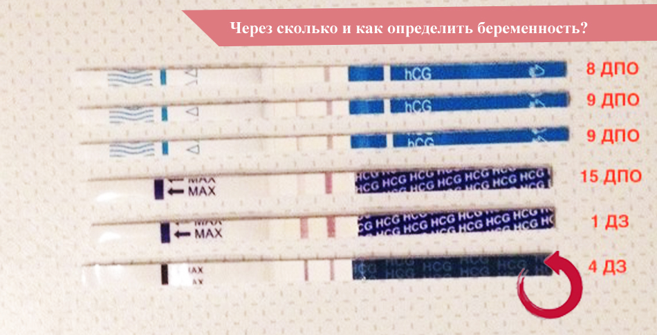 Через сколько после секса может быть обнаружена беременность