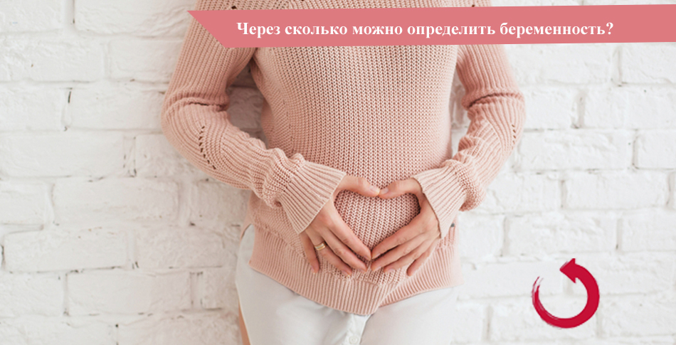 Через сколько дней после полового акта может быть обнаружена беременность
