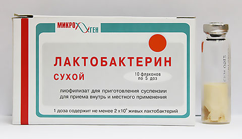 лактобактерин в порошке