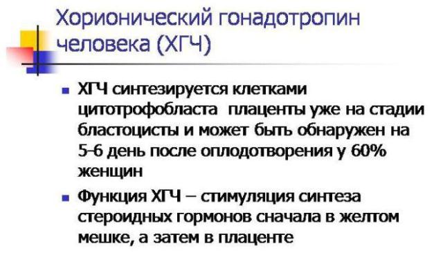Хорионический гонадотропин человека (ХГЧ)