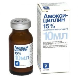 amoksicillin