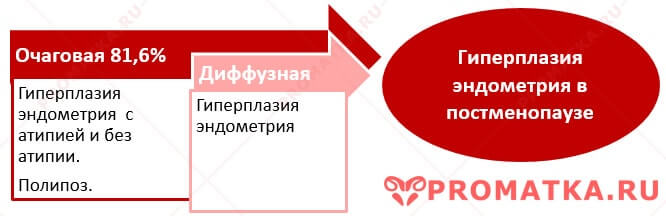 Эндометрий Структура гиперпластических процессов