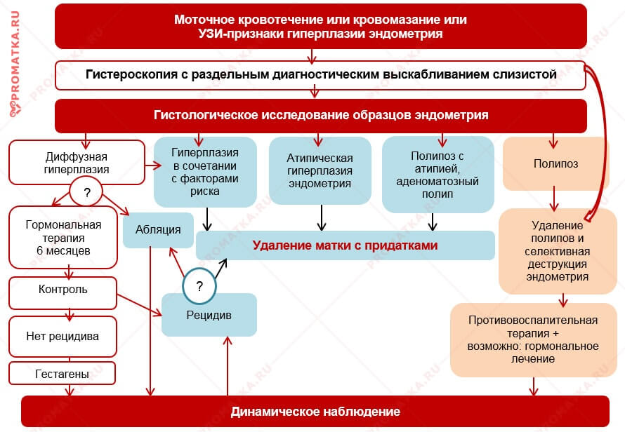 Лечение гиперплазии эндометрия в постменопаузе Пути лечения гиперплазии эндометрия в постменопаузе