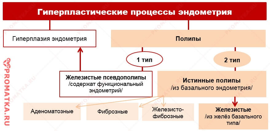 Гиперпластические процессы эндометрия – схема Полипы эндометрия – схема