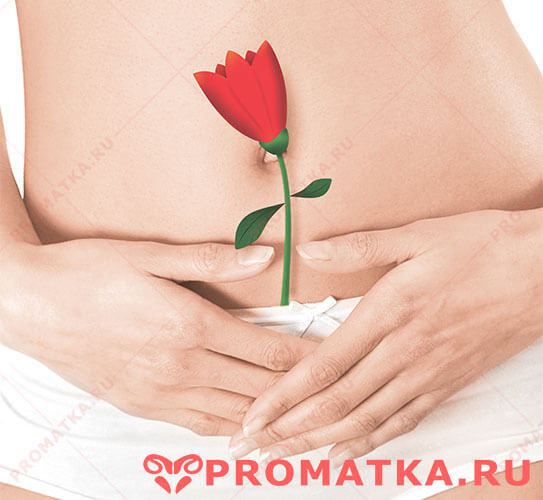 Лечение железистого полипа матки Железистые полипы матки
