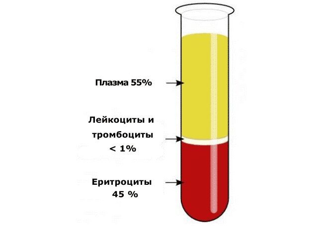 Анализ крови на СОЭ точно определит количество кровяных фрагментов