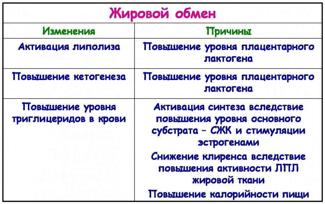 Изменения в обмене веществ Изменения в обмене веществ