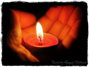 Eggs are no longer candled using an open flame - there Candling chicken eggs used to be done using a naked flame.