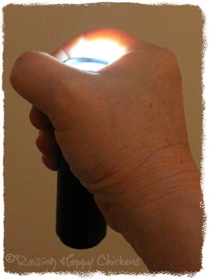 Flashlights or smartphones make good candlers, but they can be hard to hold at the same time as the egg. Hand-held candlers are efficient but hard to hold with an egg balanced on top!